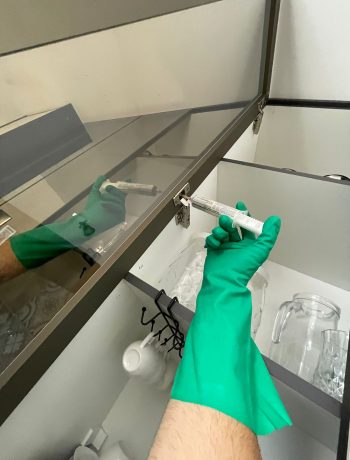 offinsect-fotos- (2)