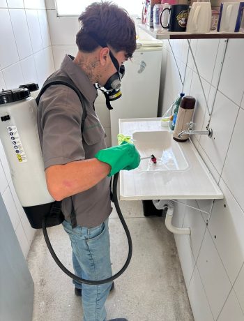 offinsect-fotos- (6)